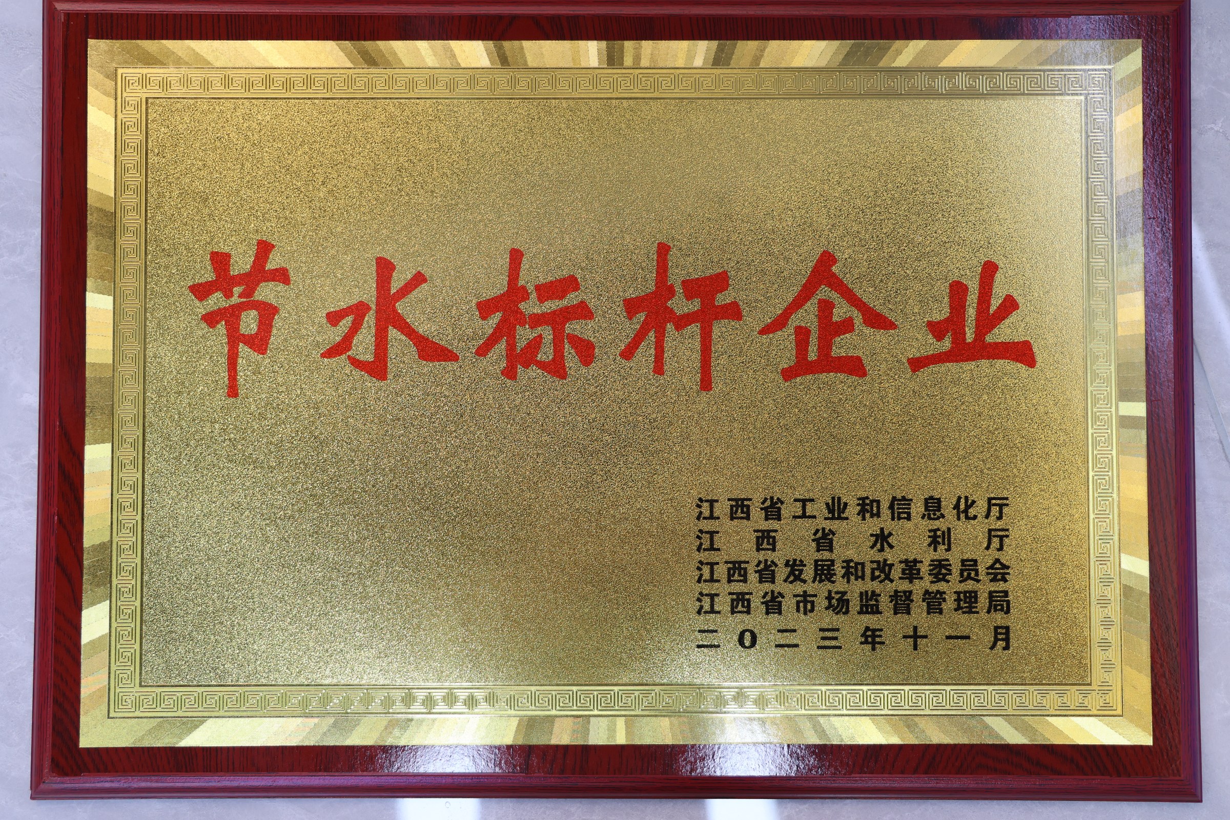 节水标杆企业